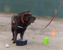 20260718-NSKC-0639