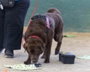 20260718-NSKC-0642