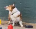 20260718-NSKC-0669