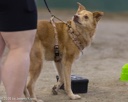 20260718-NSKC-0675
