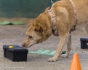 20260718-NSKC-0679