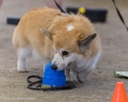 20260718-NSKC-0690