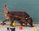 20260718-NSKC-0704
