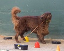 20260718-NSKC-0705