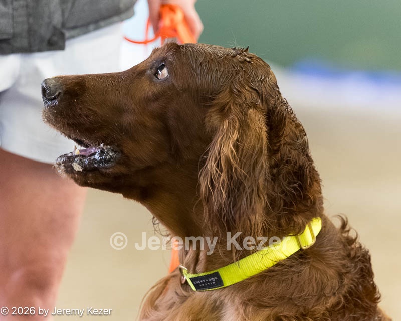 20260718-NSKC-0713.jpg