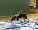 20260718-NSKC-0017