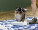 20260718-NSKC-0039