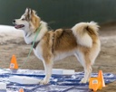20260718-NSKC-0127
