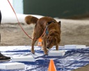20260718-NSKC-0173