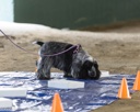 20260718-NSKC-0185