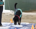 20260718-NSKC-0197