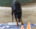20260718-NSKC-0227