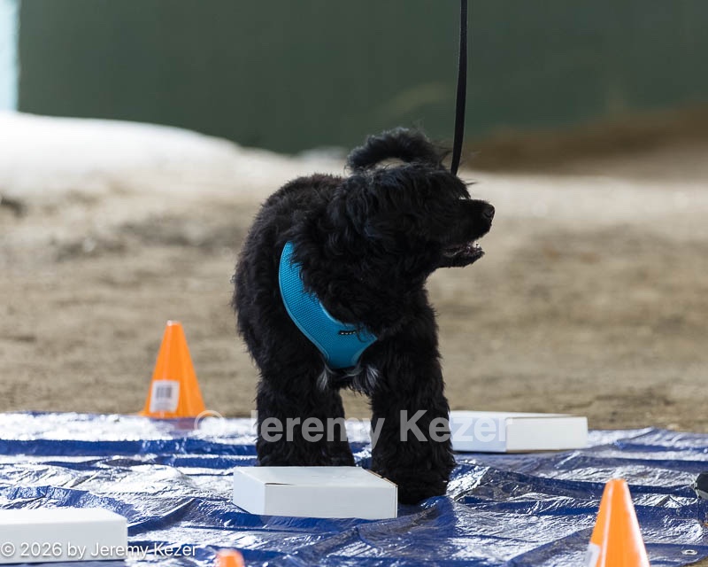 20260718-NSKC-0113.jpg