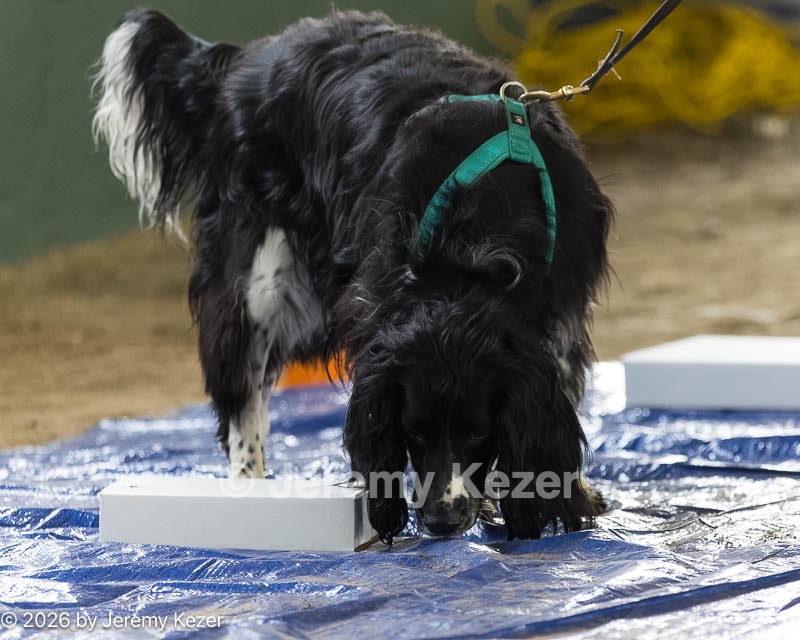 20260718-NSKC-0166.jpg