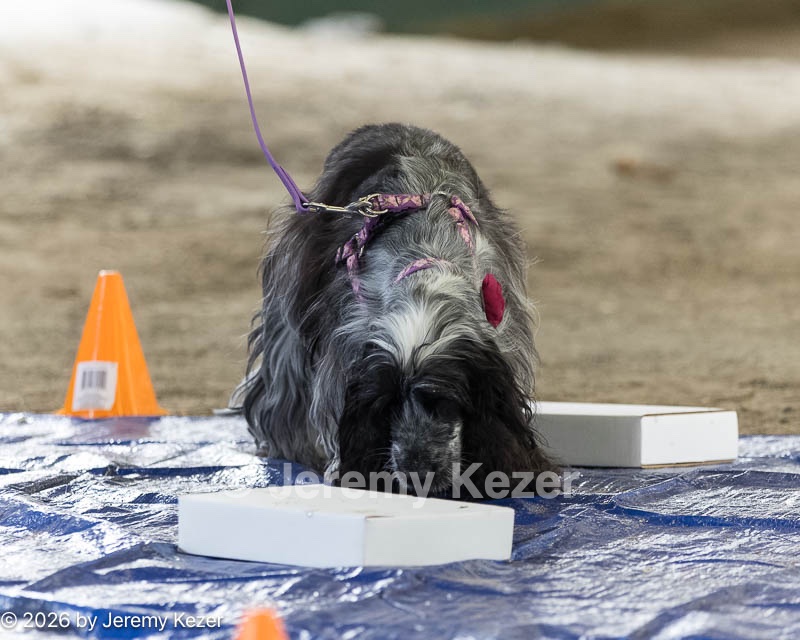 20260718-NSKC-0187.jpg