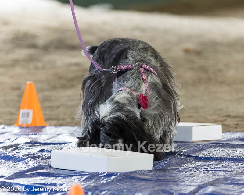 20260718-NSKC-0188.jpg