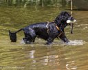 20260815-AWD-0067