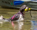 20260815-CWD-0003