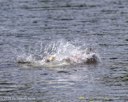 20260815-CWD-0019