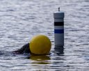 20260815-CWD-0062