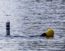 20260815-CWD-0064
