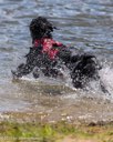 20260815-CWD-0148