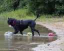 20260815-CWD-0258