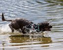 20260815-CWD-0300