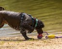 20260815-CWD-0304