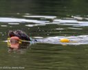 20260815-CWD-0324