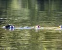 20260815-CWD-0388