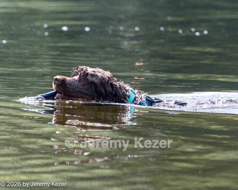 20260815-CWD-0292.jpg