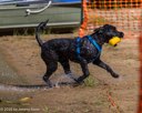 20260815-JWD-0100