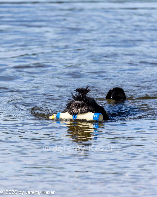 20260815-JWD-0002.jpg