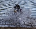 20260815-Master-0144