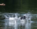 20260815-WWD-0009