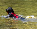 20260816-CWD-0152