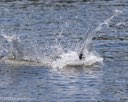 20260816-CWD-0180