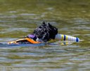 20260816-CWD-0192
