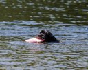20260816-CWD-0208