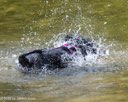 20260816-CWD-0225