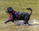 20260816-CWD-0229
