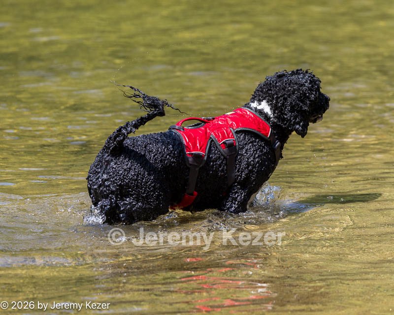20260816-CWD-0111.jpg
