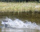 20260816-JWD-0048