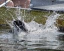 20260816-Master-0060