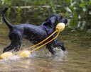 20260816-Master-0201