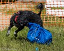 20260816-WWD-0014