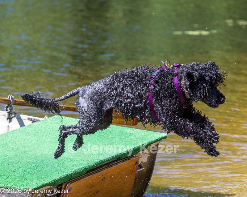 20260829-AWD-0239.jpg