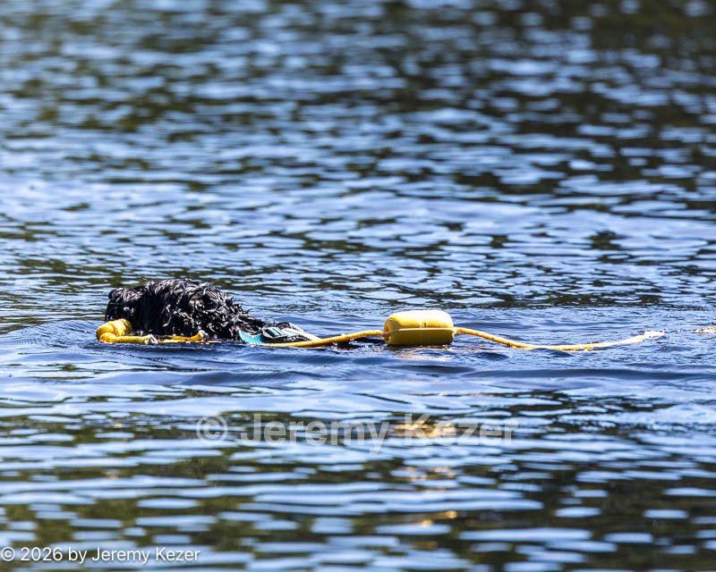 20260829-CWD-0027.jpg