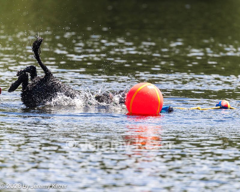 20260829-WWD-0074.jpg